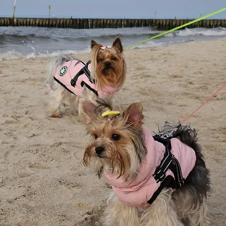 Reymonta Z Widokiem Na Morze Kolobrzeg