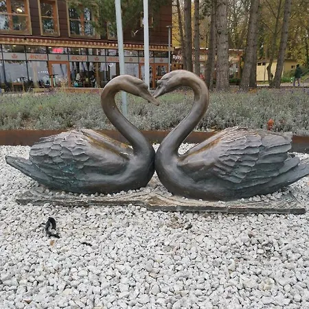 Reymonta Z Widokiem Na Morze Appartamento